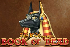Book of Dead slot
